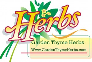 Garden Thyme Herbs
